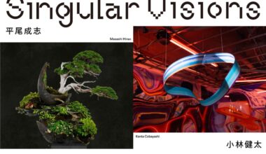 平尾成志 小林健太「Singular Visions」　