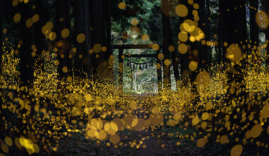 SHOCK EYE写真展「和景讃歌」 The Power of Japanese Scenery