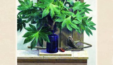 生を見つめて 橋本弘幸展