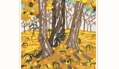 「季刊アイワード」第27号(2025年10月号)を発行